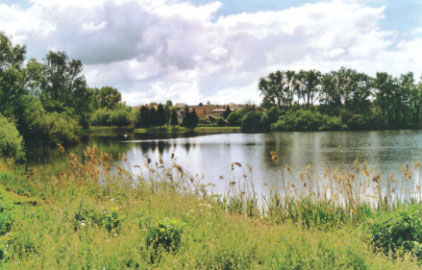 rybník u Bolehoště